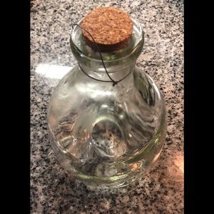 Wasp insect trap. Clear glass decor outdoor EUC